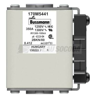  FUSE 350A 1250V 2BKN/80 AR CU 