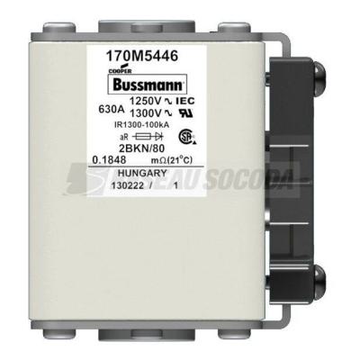  FUSE 630A 1250V 2BKN/80 AR CU 