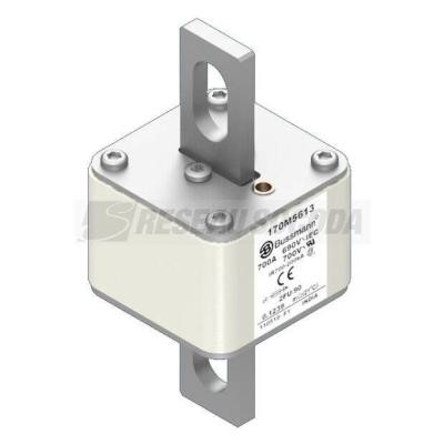  FUSE 700A 690V 2FU/90 AR UC 