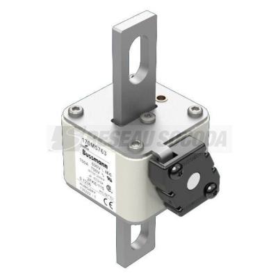  FUSE 700A 690V 2FKE/115 AR UC 
