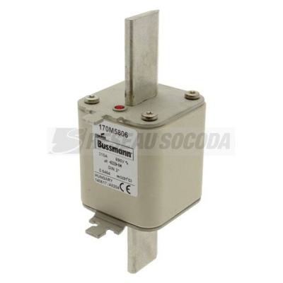  FUSE 315A 690V DIN 2* AR 