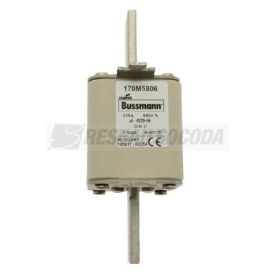  FUSE 315A 690V DIN 2* AR 