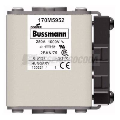  FUSE 250A 1000V 2BKN/75 AR UR 