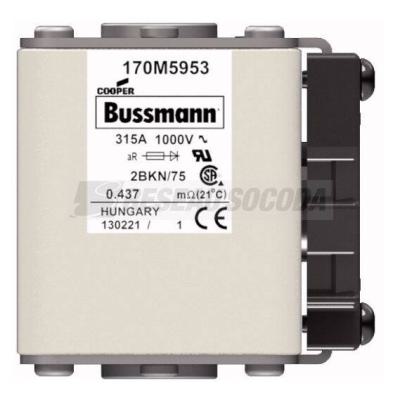  FUSE 315A 1000V 2BKN/75 AR UR 