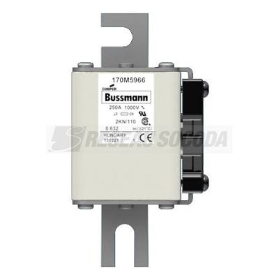  FUSE 250A 1000V 2KN/110 AR UR 