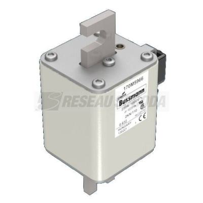  FUSE 250A 1000V 2KN/110 AR UR 