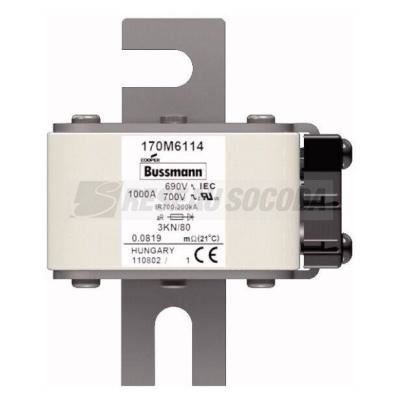  FUSE 1000A 690V 3KN/80 AR UC 