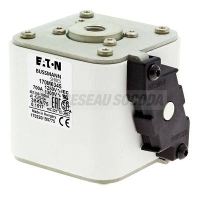  FUSE 700A 1250V 3BKN/75 AR CU 