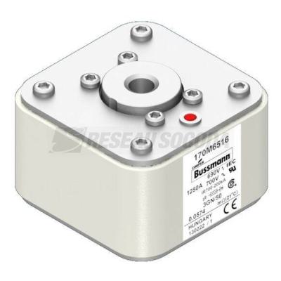  FUSE 1250A 690V 3GN/50 AR UC 