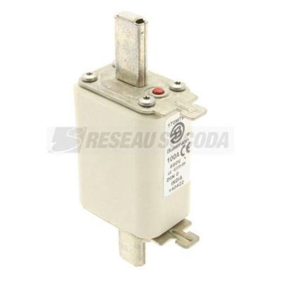  FUSE 100A 660V DIN 0 AR 