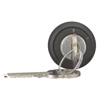 Bouton � cl� (Ronis 455), 2 po 