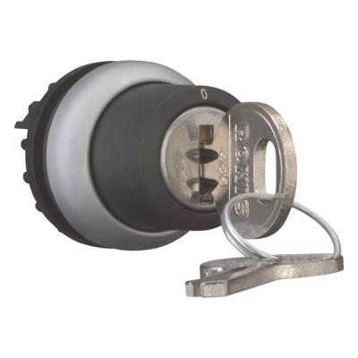  Bouton � cl� (Ronis 455), 2 po 