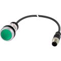  Bouton-poussoir lumin, � rappe 