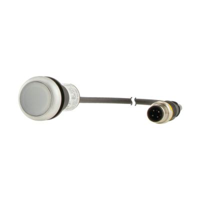  Bouton-poussoir lumin, � rappe 