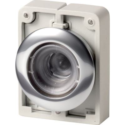  Bouton poussoir, 30mm, flush, 