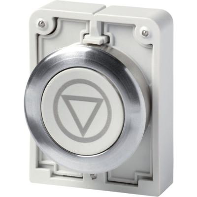  Bouton poussoir, 30mm, flush, 
