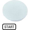  Etiquette, plate blanche, STAR 