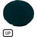  Etiquette, plate noire, UP 