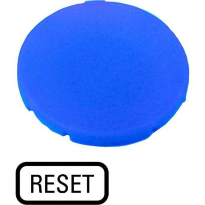  Etiquette, plate bleue, RAZ 