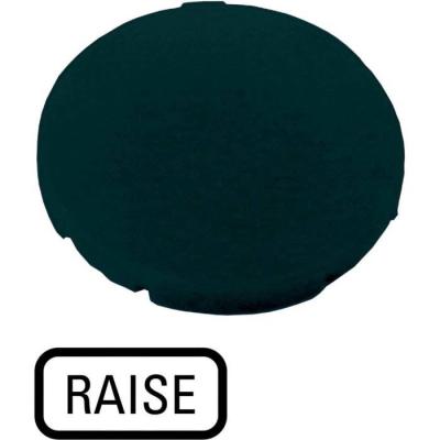  Etiquette, plate noire, RAISE 