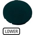  Etiquette, plate noire, LOWER 