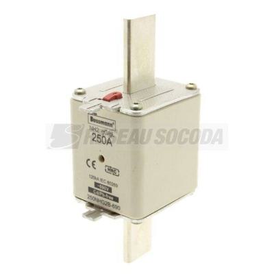  NH FUSE 250A 500V gG SIZE 2 DU 