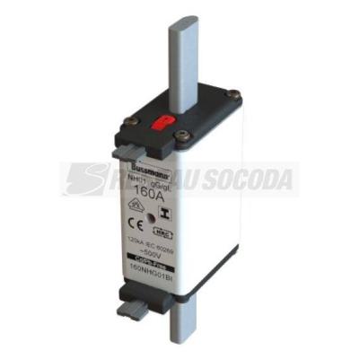  NH FUSE 25A 500V GL/GG SIZE 01 