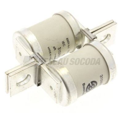  315A 690V AC TYPE T FUSE 
