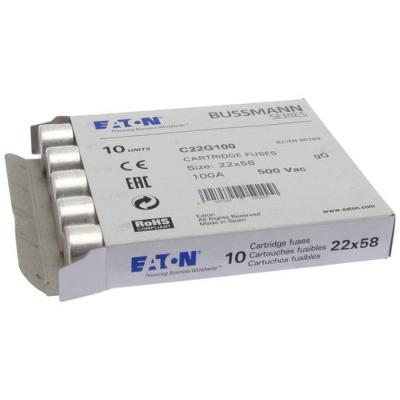  CYLINDRICAL FUSE 22 x 58 100A 