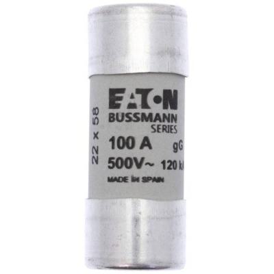  CYLINDRICAL FUSE 22 x 58 100A 