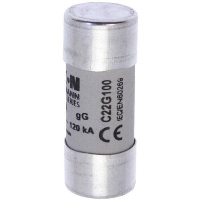  CYLINDRICAL FUSE 22 x 58 100A 