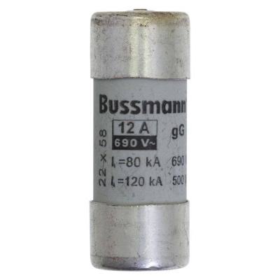  CYL FUSE >STR >22 x 58 12A GG 