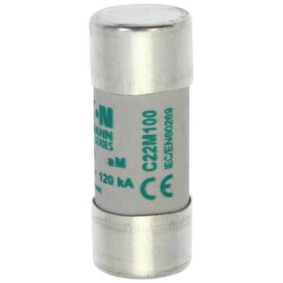  CYL FUSE >STR >22 x 58 100A GG 