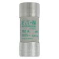  CYLINDRICAL FUSE 22 x 58 100A 