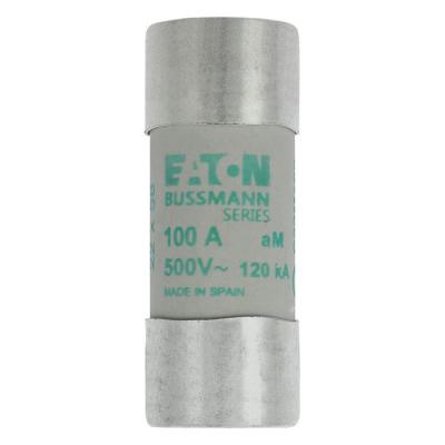  CYLINDRICAL FUSE 22 x 58 100A 