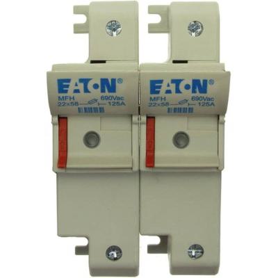 2P 22x58 Neon Indicator Fuse H 
