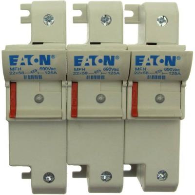  3P 22x58 Neon Indicator Fuse H 