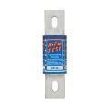  HI-CAP TIME DELAY FUSE CLASS L 
