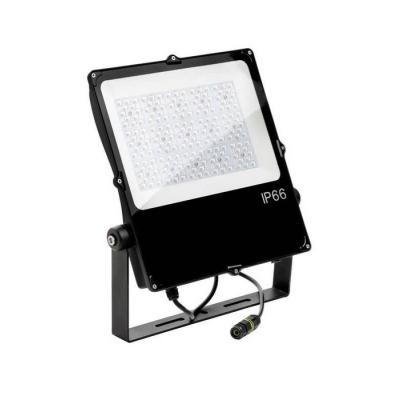  CAMUS ASYM NOIR 150W 829 
