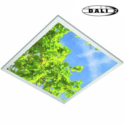  DECOSKY 36W 2000lm 840 DALI 