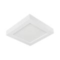  BJORK APPARENT SQ 6W CCT 