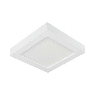  BJORK APPARENT SQ 6W CCT 