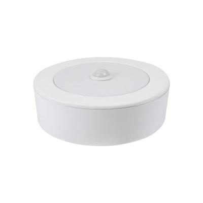  BJORK 12W 3CCT IR D170 