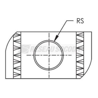  Ecrou simple pour profil strut 