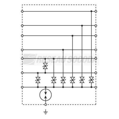  Parasurtenseur de cellule de c 
