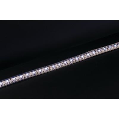  Pack 10m RGB 7W/m 230V 