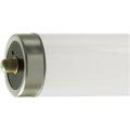  TUBE SLIM F72T 12CW          ! 