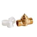  TVVS25 Vanne 2 Voies DN25 