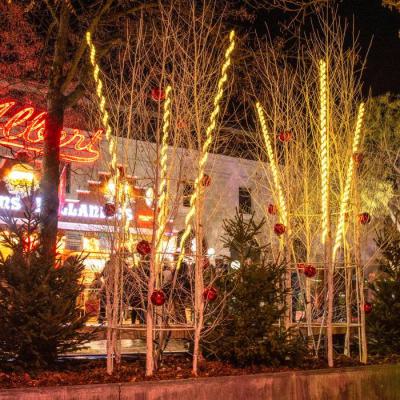  Cordon LED44m Blc ch p�tillant 