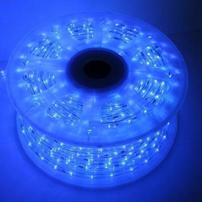 Cordon LED Touret44m Bleu 